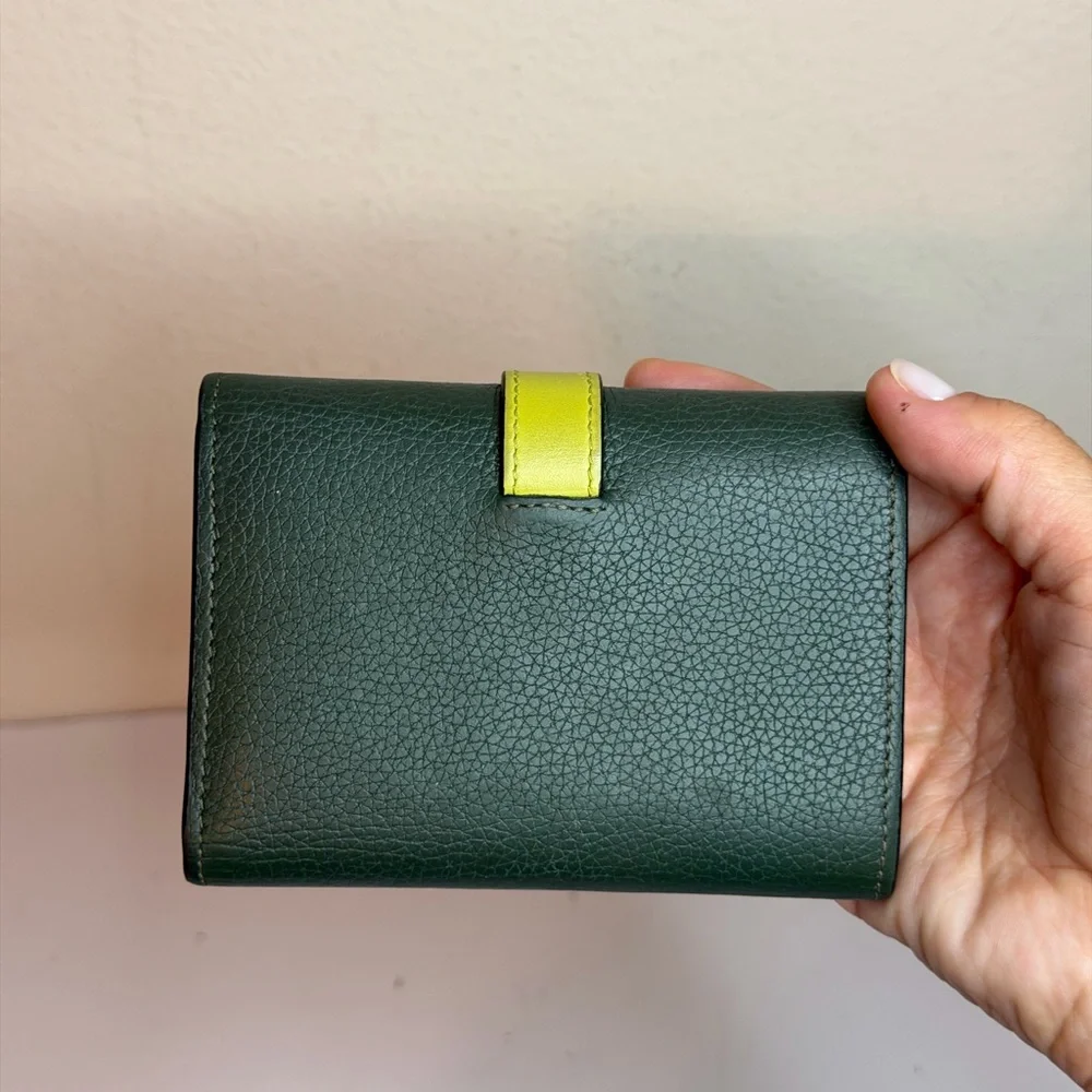 Loewe Small Vertical Wallet Green/Lime Yellow Grained Calf Leather
